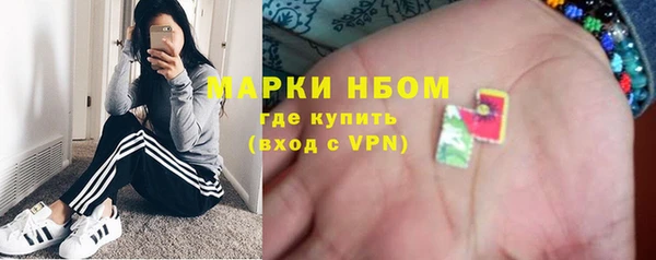 индика Аркадак