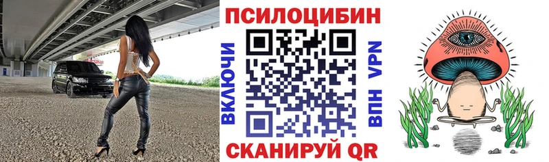 где найти наркотики  Кремёнки  Псилоцибиновые грибы Psilocybe 